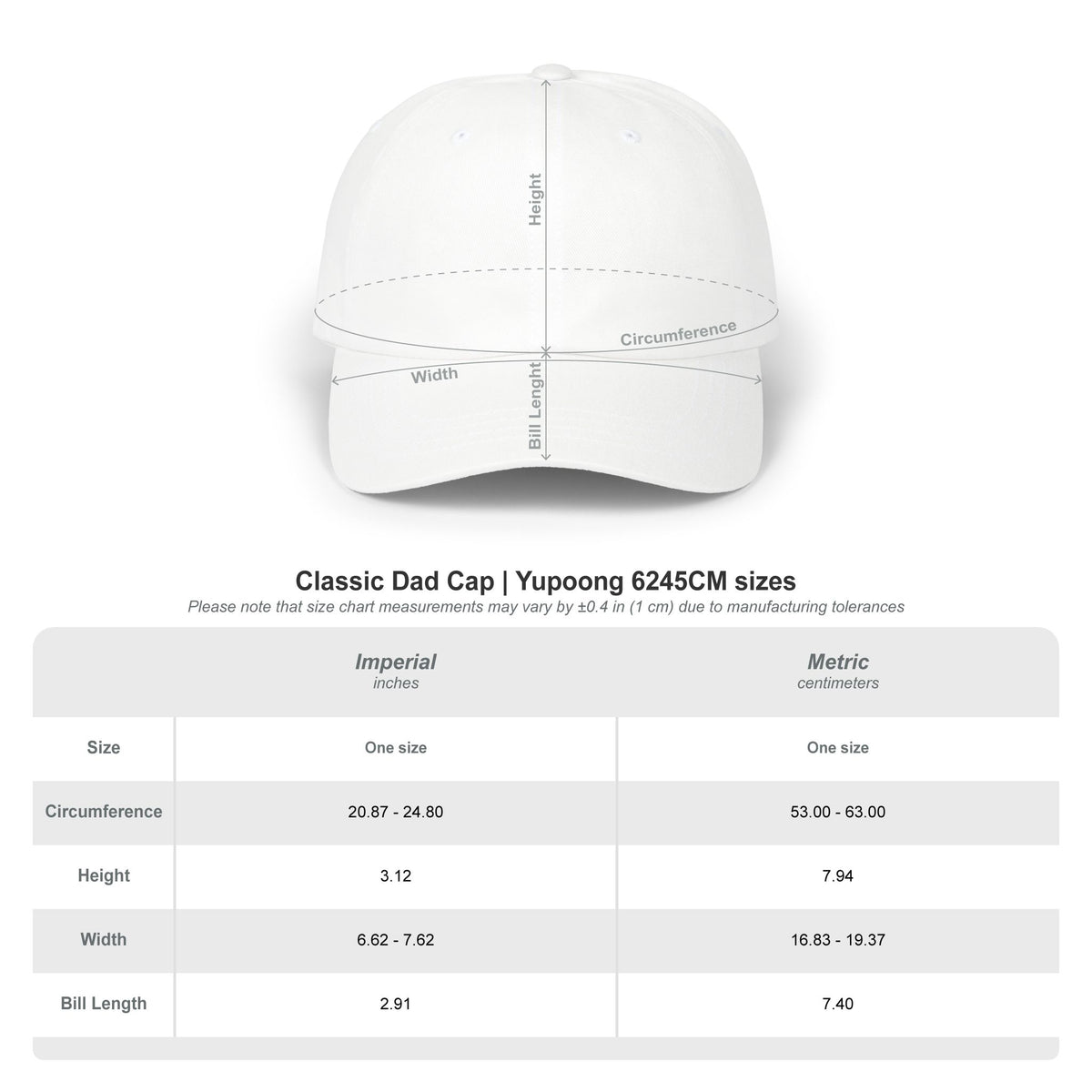 Ex-Con Dad Hat | Doomsday Inc.